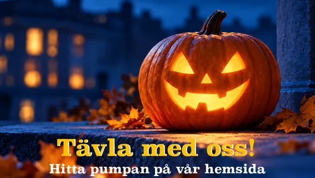 Tävla Med Oss Puff (1).